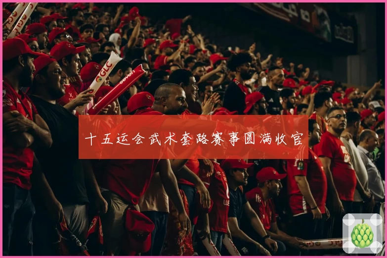 十五运会武术套路赛事圆满收官