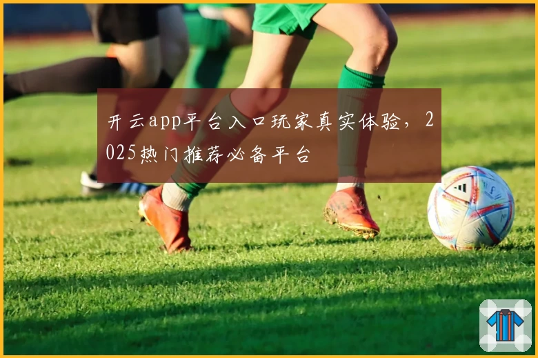 开云app平台入口玩家真实体验，2025热门推荐必备平台