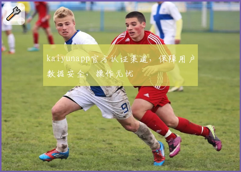 kaiyunapp官方认证渠道，保障用户数据安全，操作无忧