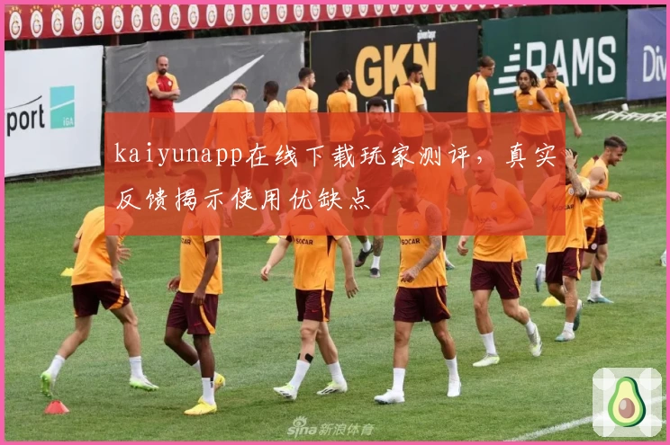 kaiyunapp在线下载玩家测评，真实反馈揭示使用优缺点