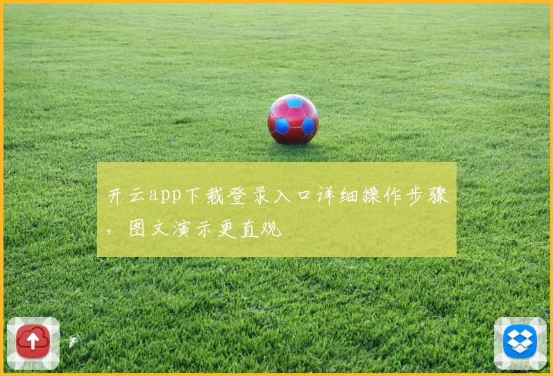 开云app下载登录入口详细操作步骤，图文演示更直观