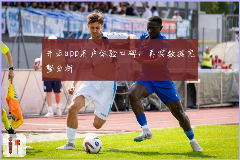 开云app用户体验口碑，真实数据完整分析